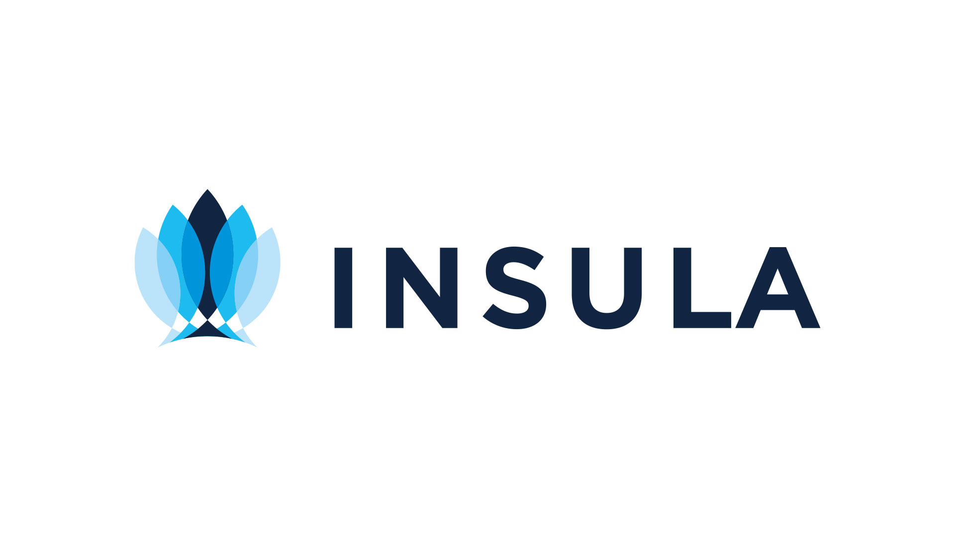 Insula